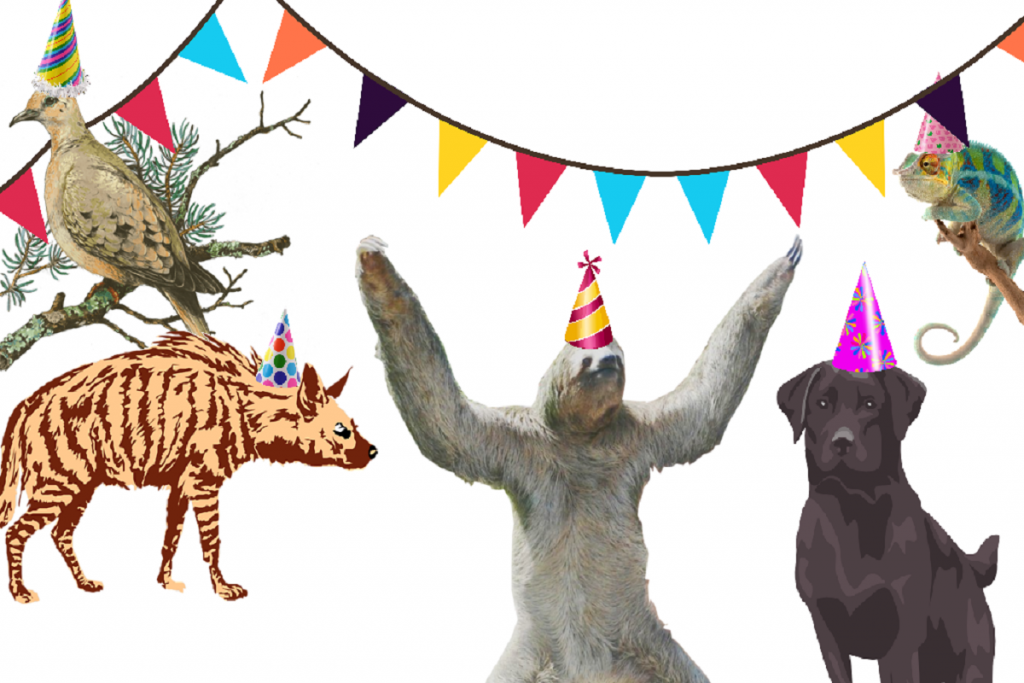 Party Animals: Which One Are You? | ENTERTAINER Hub